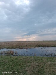 Остојићево