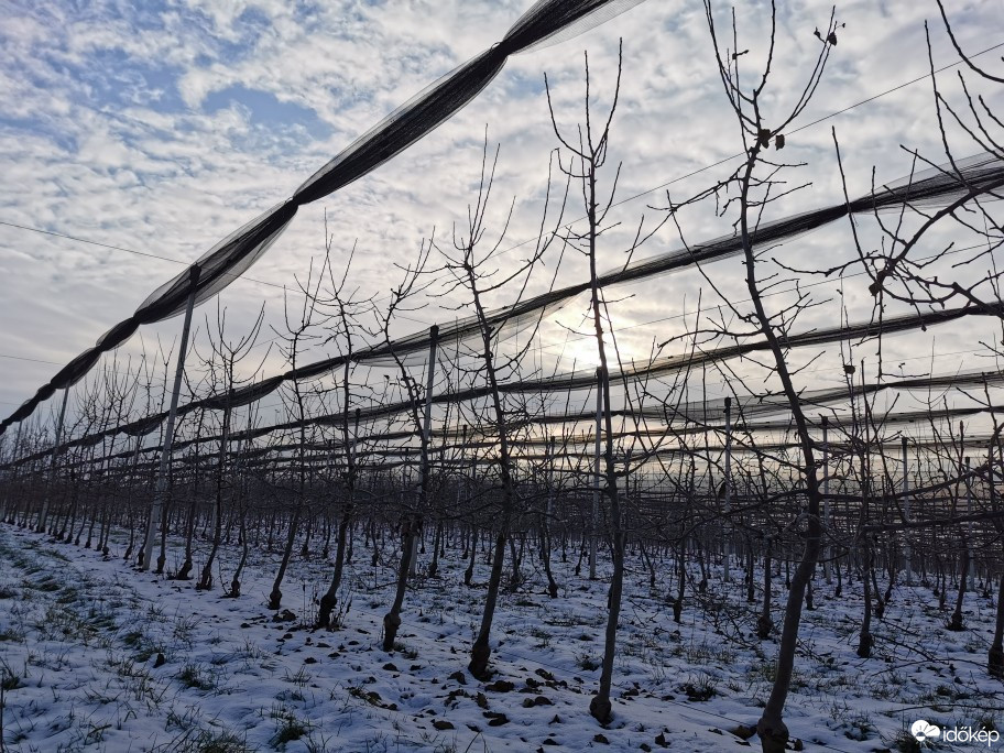 Észlelési fényképek