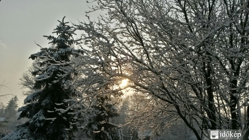 Észlelési fényképek