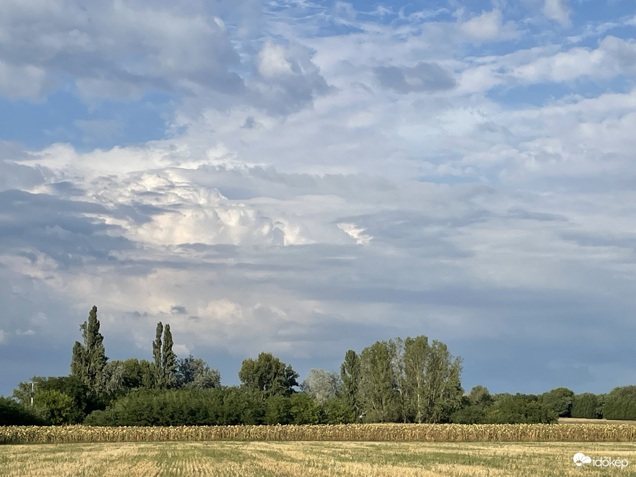 Monorierdő