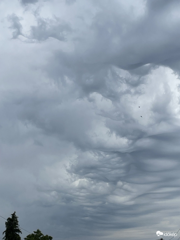 Asperatusok Monorierdő fölött