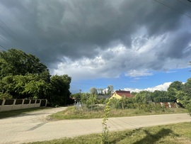 Monorierdő