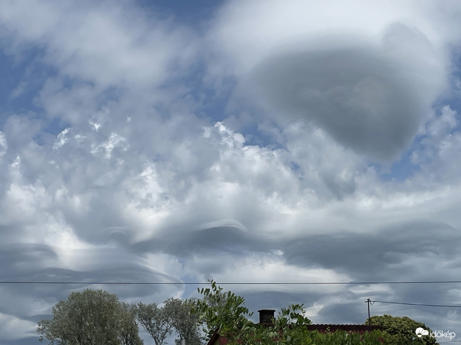 Asperatus Monorierdő
