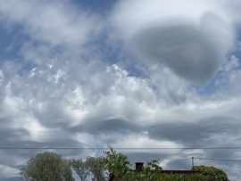 Asperatus Monorierdő