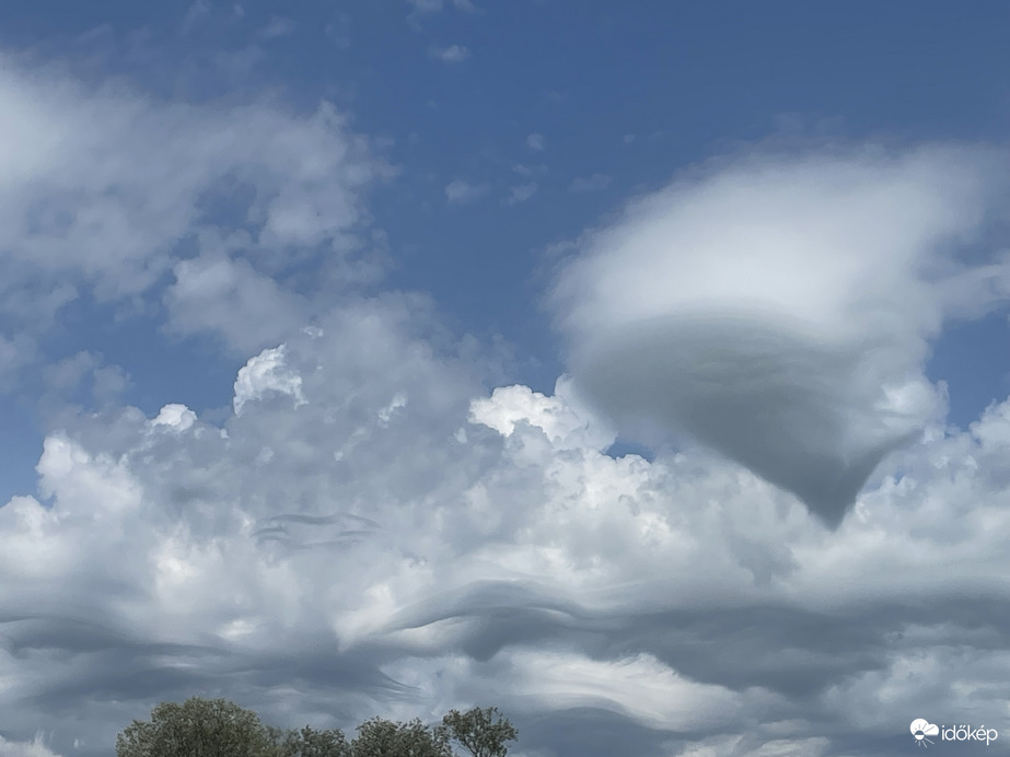 Asperatus Monorierdő