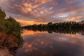 Mammák a Tisza felett