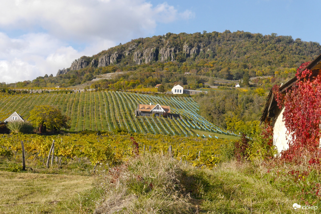 Már alakulnak az ősz színek Badacsonyban is...
