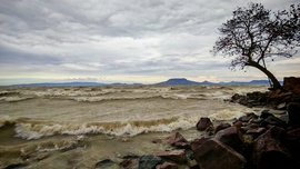 Picit fúj a szél...:):)