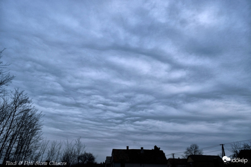 undulatus asperatus - ma délután