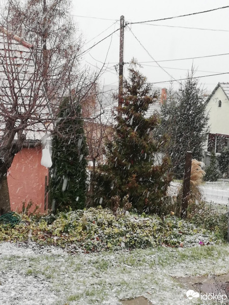 Észlelési fényképek