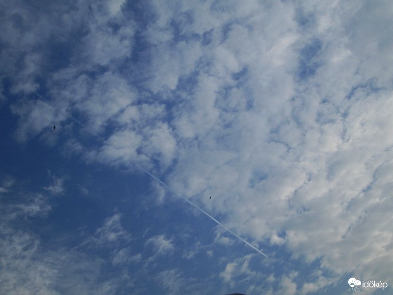 Késő délelőtt kiderült az ég...
