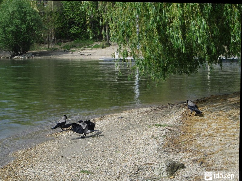 Balett a Kopaszi-gát spiccén...