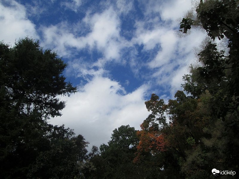 Barátságos kézfogás..