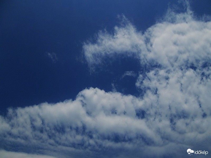 Farkas, kisegér, elefánt..