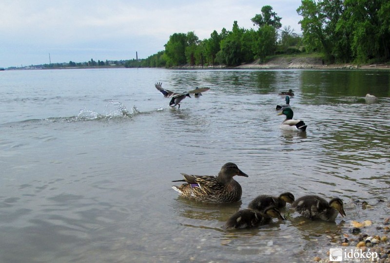 Kicsik és nagyok...