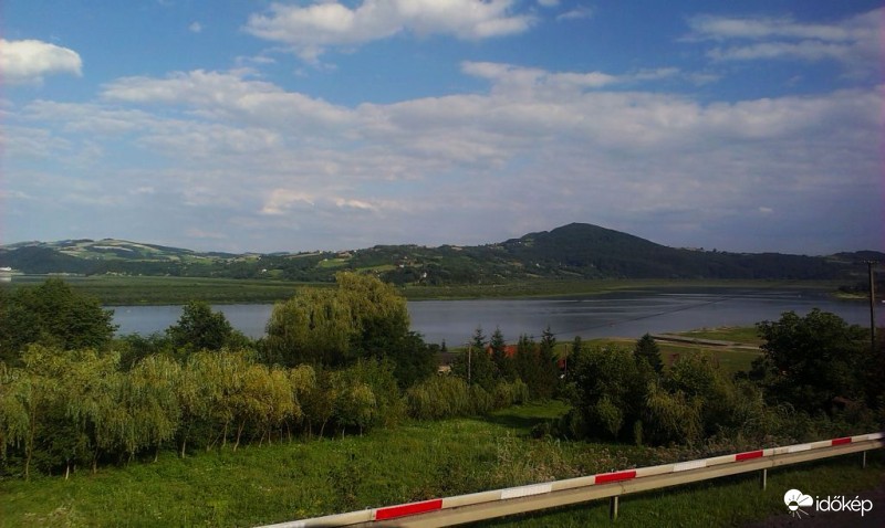 Libasorban sétáló fák..