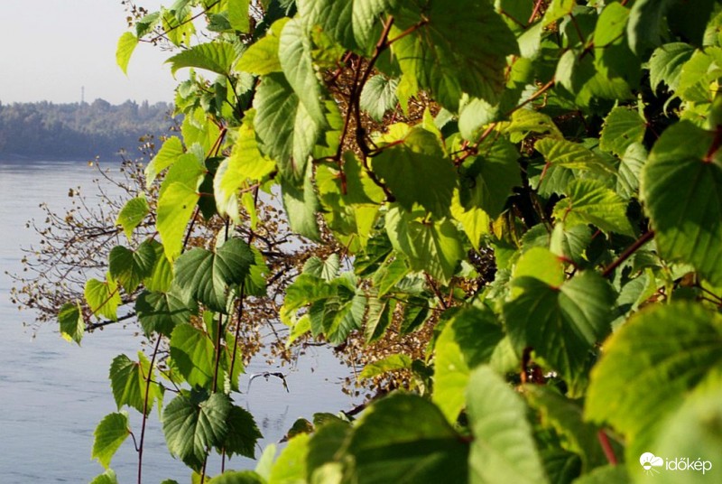 Ma is faképnél hagyott...