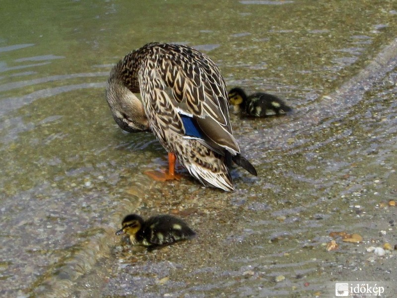 Rám fér egy kis csinosítás....