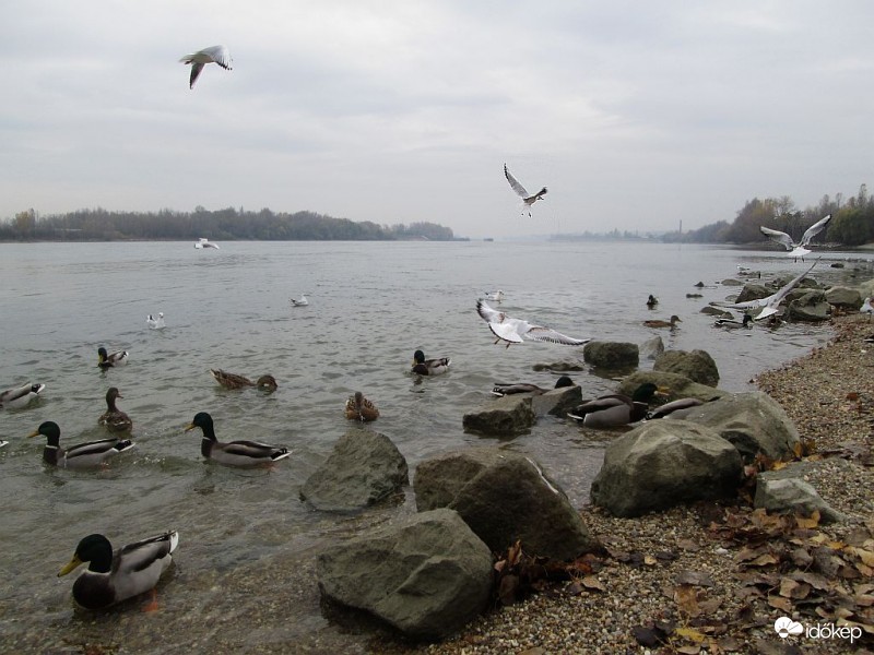 Repülési technikák..1