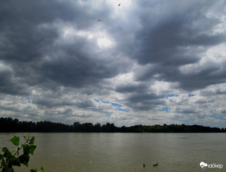 Vízen és levegőben..