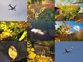 Délutáni színek és fények