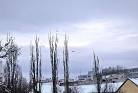 Budapest XI. kerület