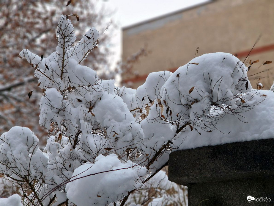 Budapest XI.kerület,