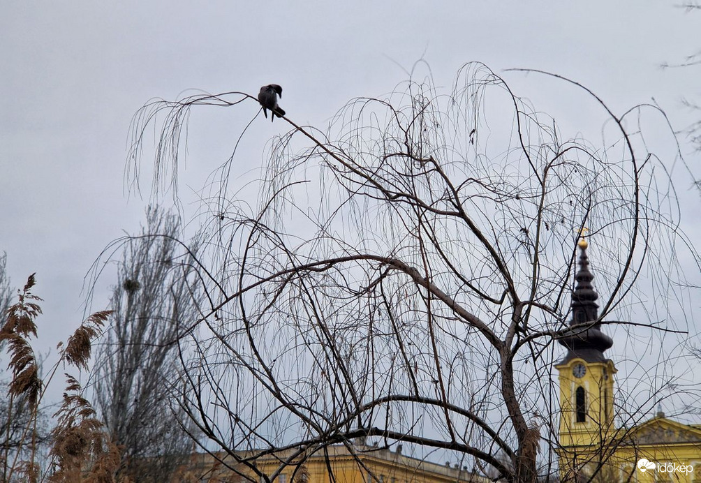 "Nyugaton a helyzet véltozatlan..."