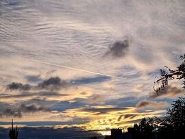 Budapest XI. kerület