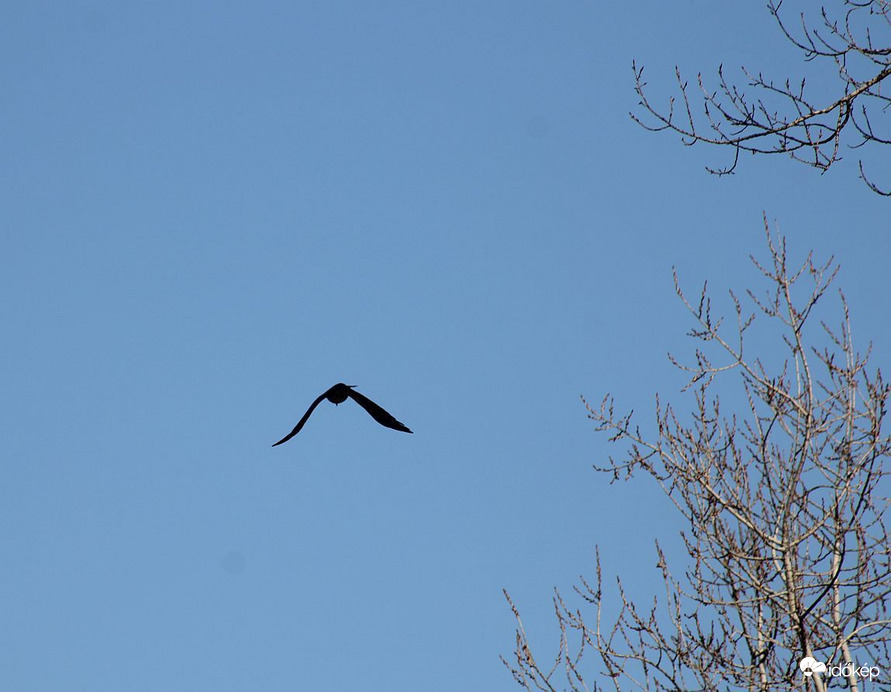 Budapest XI.kerület,