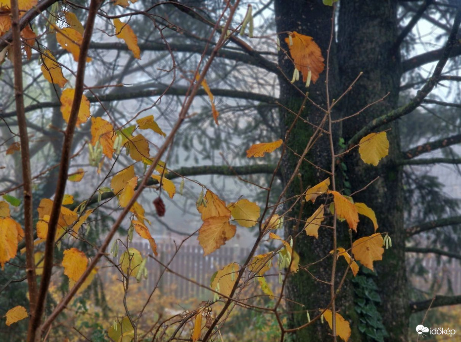 Nagykovácsi,  Zsíros-hegy