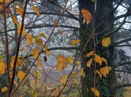 Nagykovácsi,  Zsíros-hegy