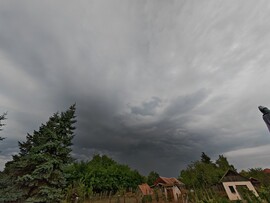 Kóka