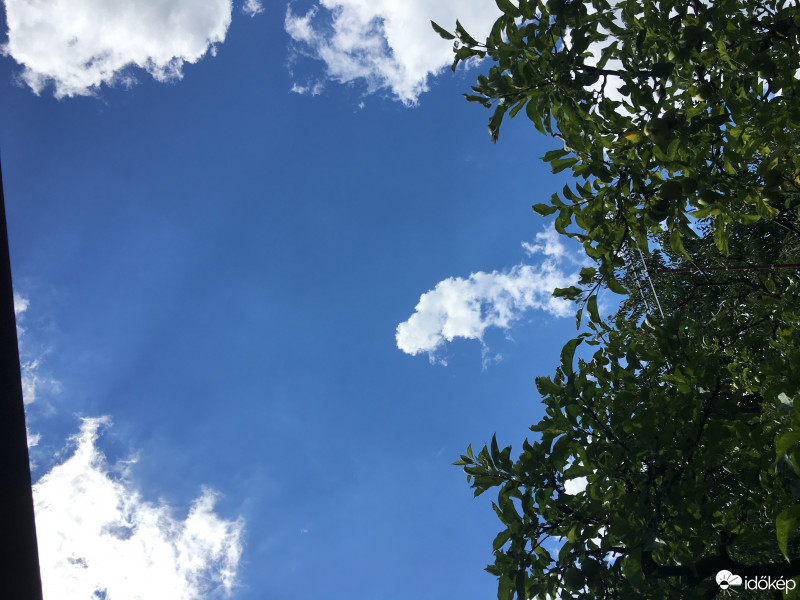 Észlelési fényképek