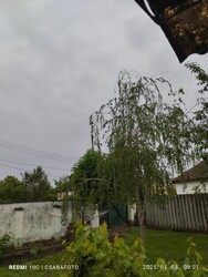 Madaras