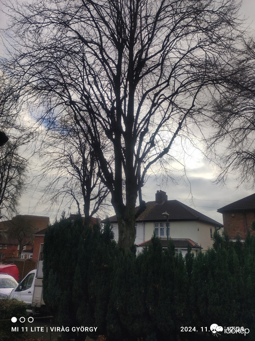 Észlelési fényképek