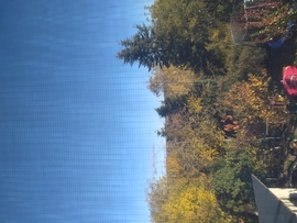 Elkezdődött az ősz