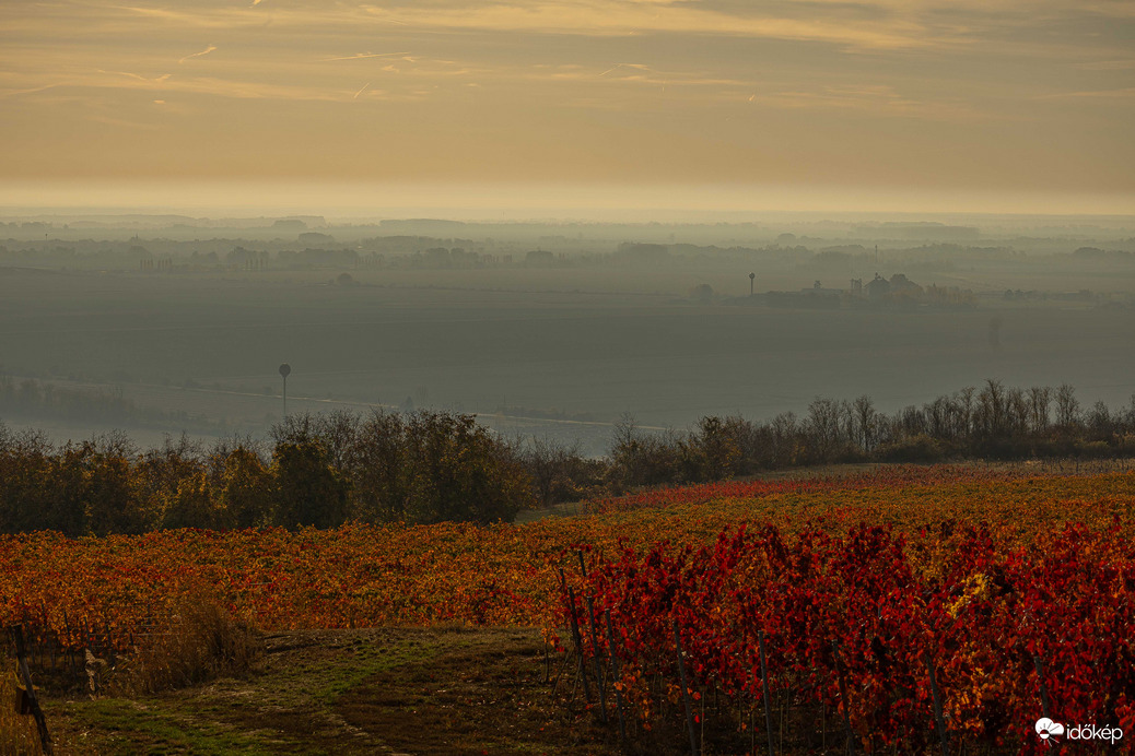 Görögszó, kora reggel 2025.11.02