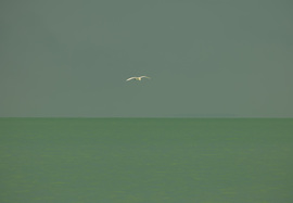 Balaton minimál