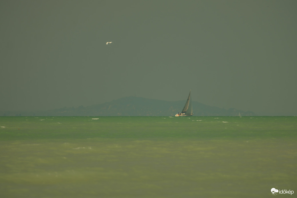 Ó, a Balaton...