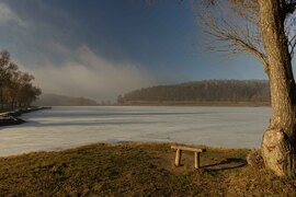 Ködös csendélet...