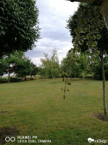 Észlelési fényképek