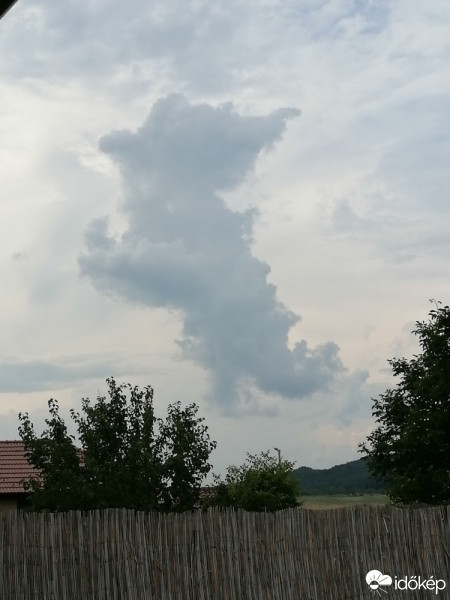 Észlelési fényképek