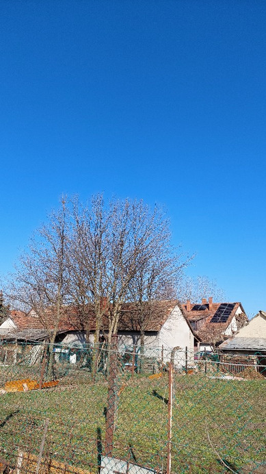 Gyomaendrőd