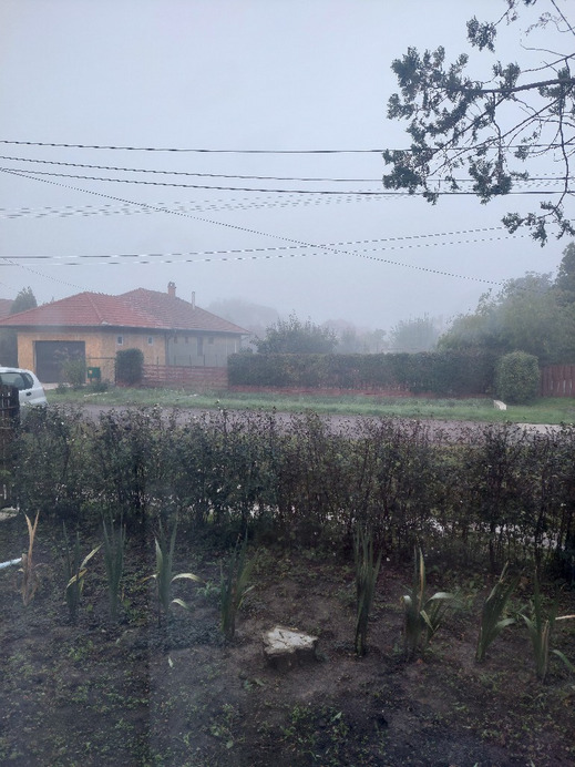 Gyomaendrőd