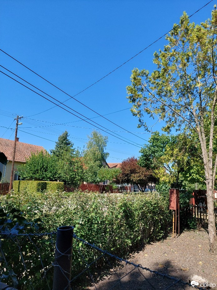 Gyomaendrőd