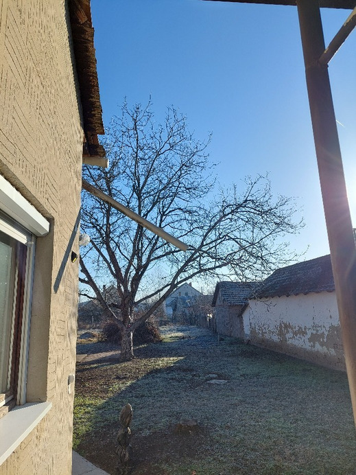 Gyomaendrőd