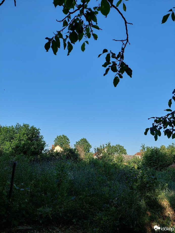 Gyomaendrőd