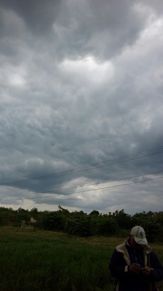 Észlelési fényképek