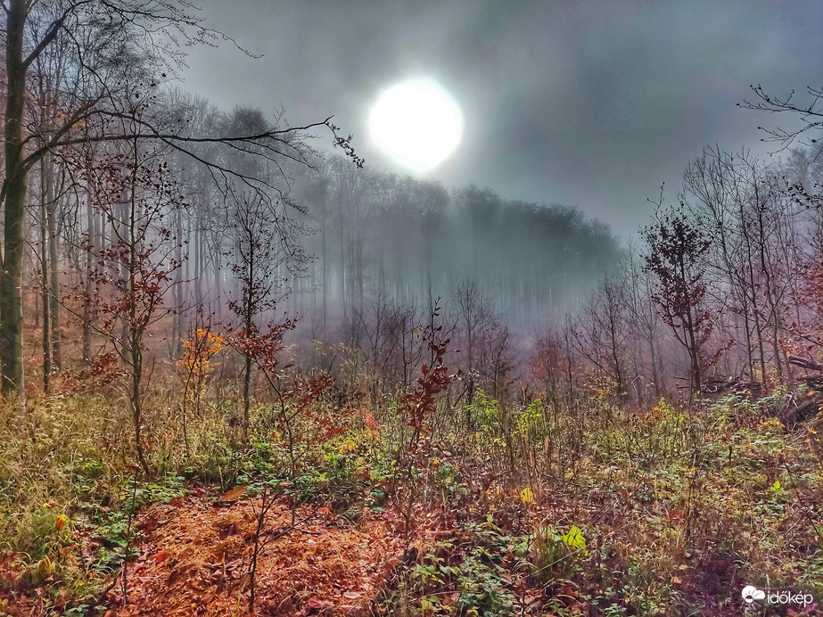 Észlelési fényképek